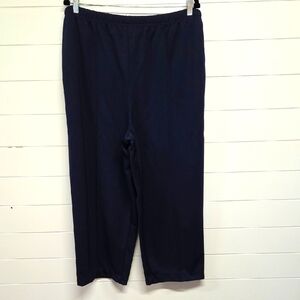 Blair Pullon Pants With Pockets Size 22W